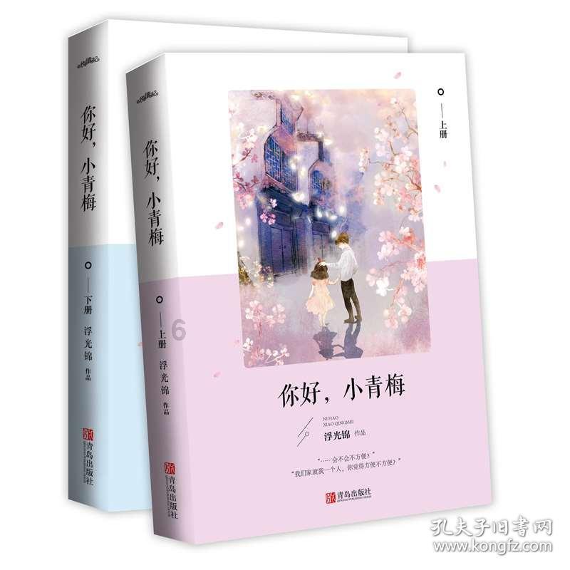 进击的飞机